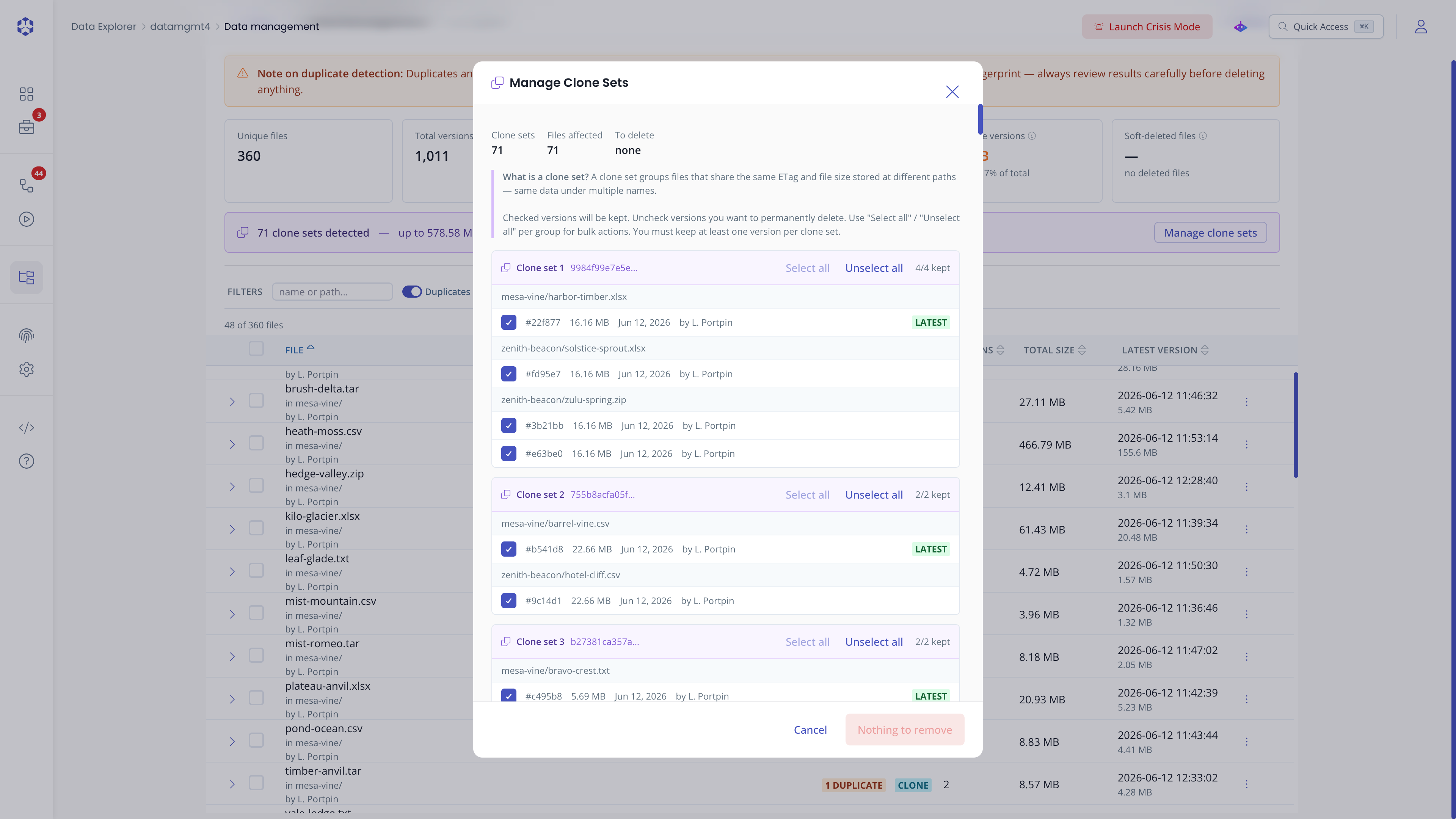 Data management clone panel