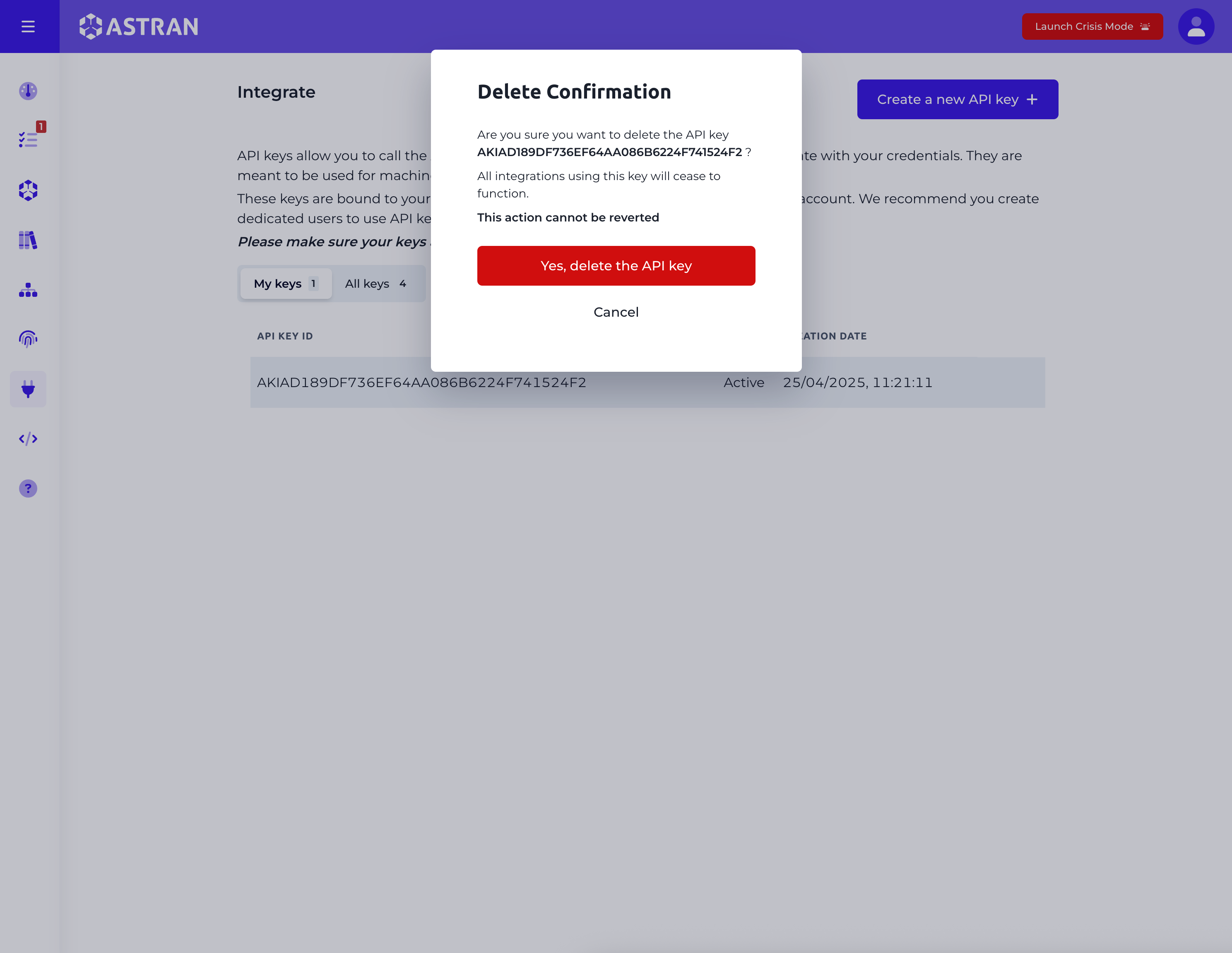 API key delete modal