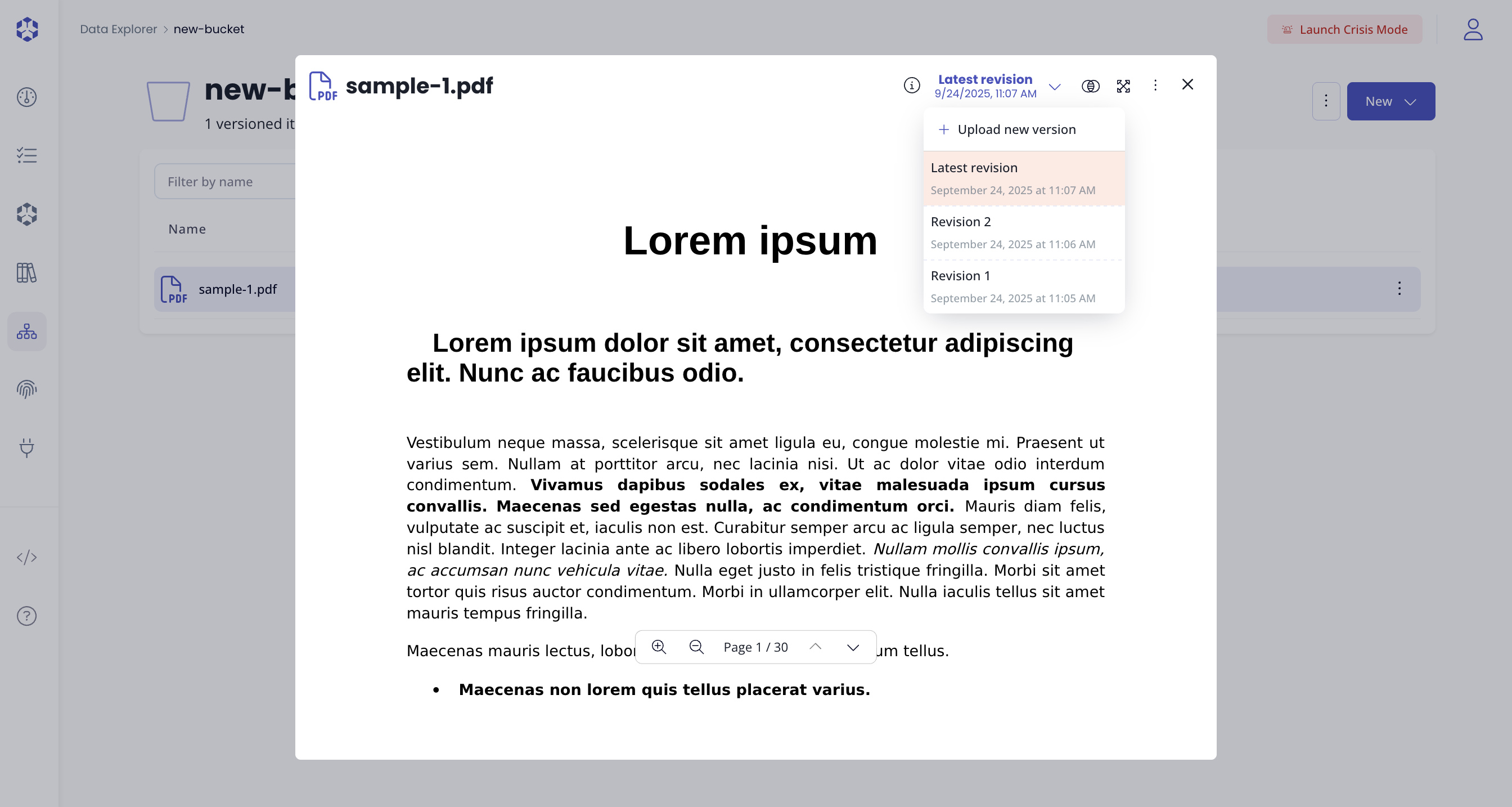 Document versions menu