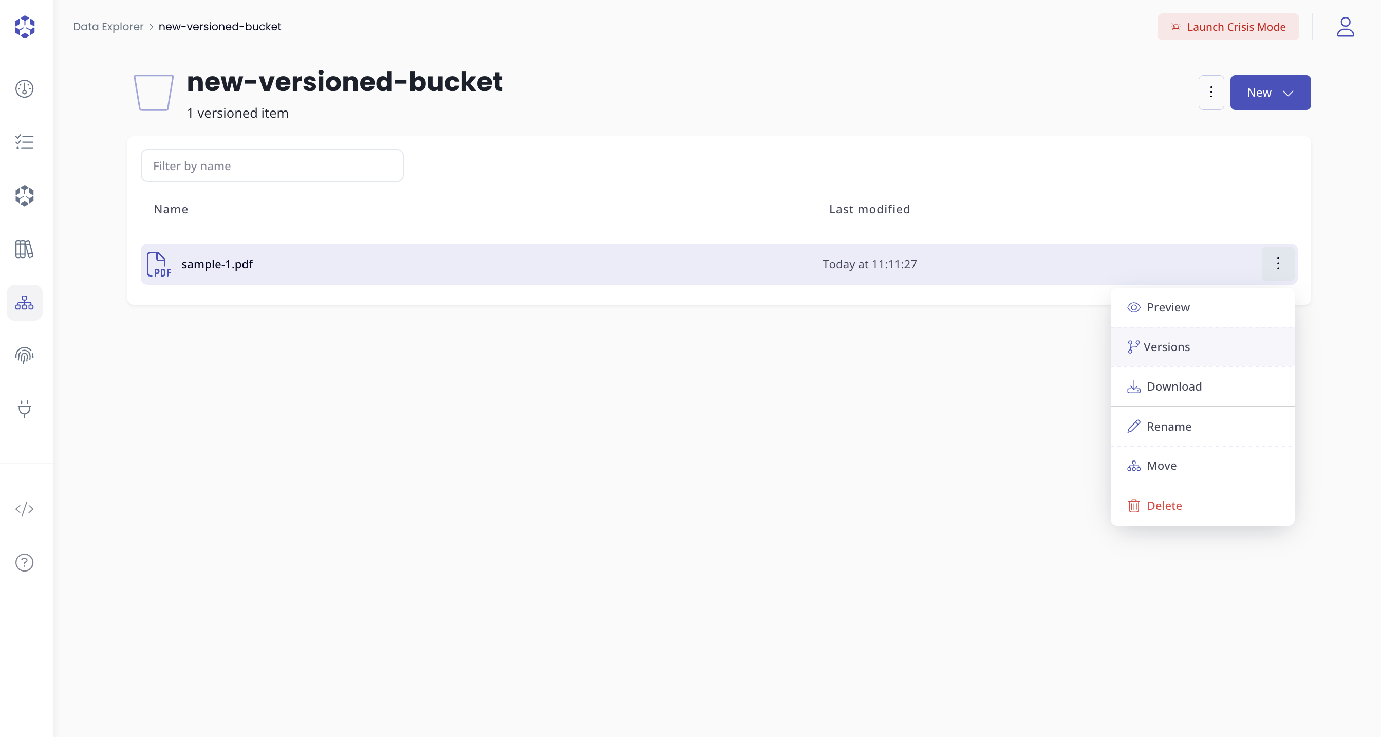 View object versions