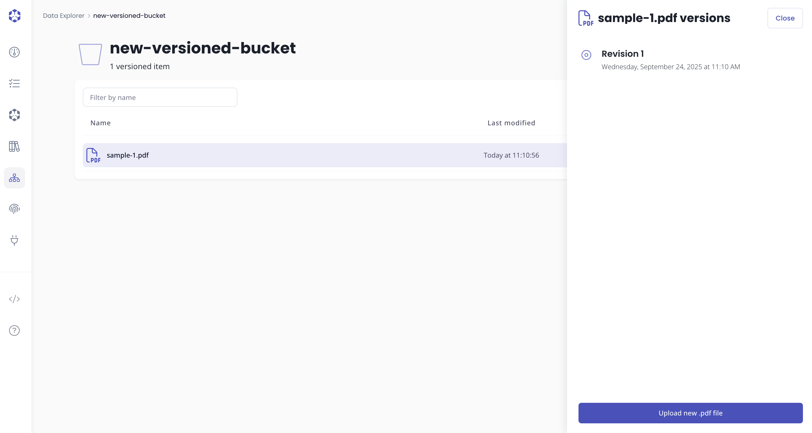 View object versions